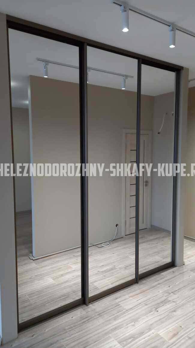 Встроенные шкафы на заказ Железнодорожный